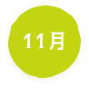11月